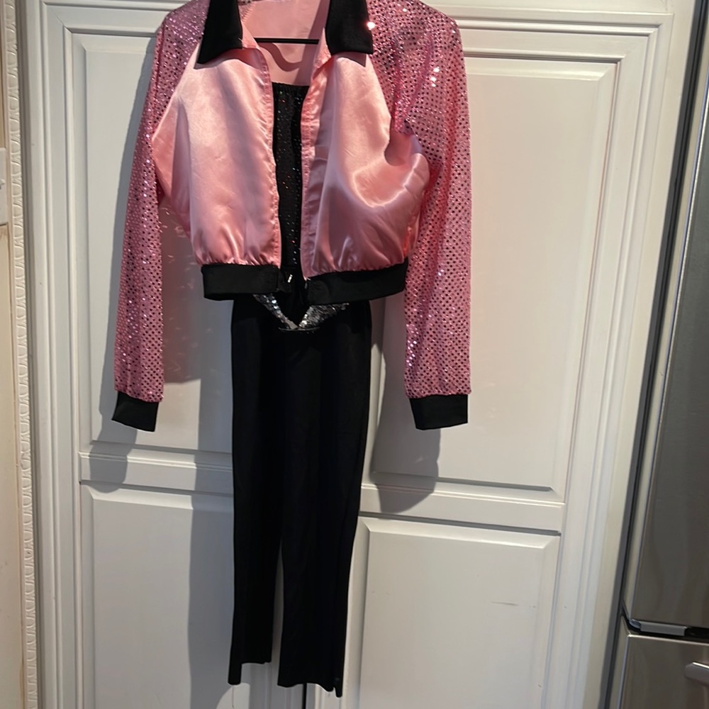 pink Lady costume adult small my daughter wore this when  she was size 12/14